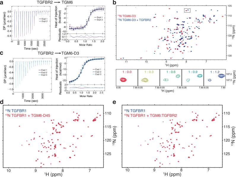 https://cdn.ncbi.nlm.nih.gov/pmc/blobs/7973/11845725/3e8244c2f695/41467_2025_56954_Fig2_HTML.jpg