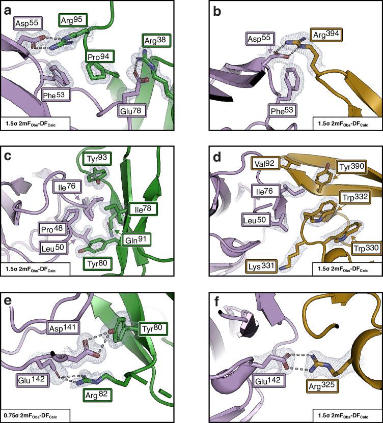 https://cdn.ncbi.nlm.nih.gov/pmc/blobs/7973/11845725/86d06f0efe1d/41467_2025_56954_Fig7_HTML.jpg