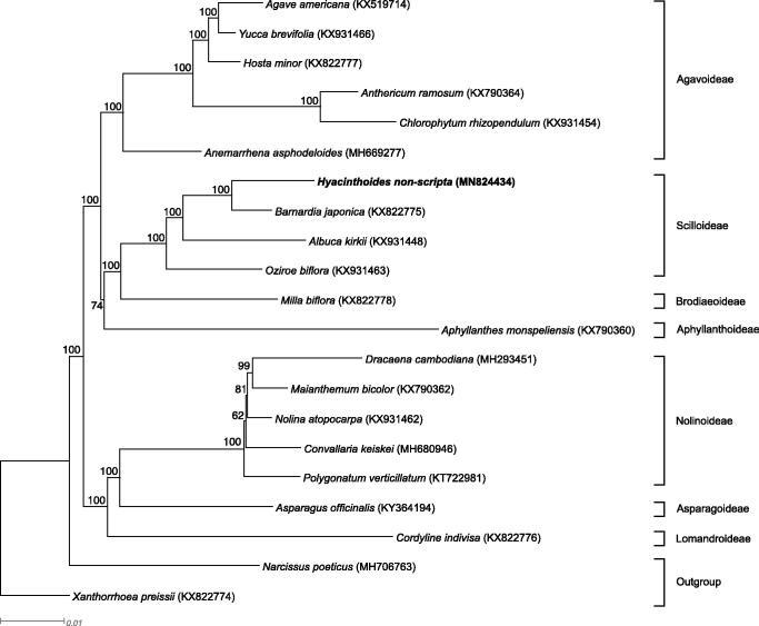 https://cdn.ncbi.nlm.nih.gov/pmc/blobs/7974/7748465/fd87d8c169b6/TMDN_A_1720543_F0001_B.jpg