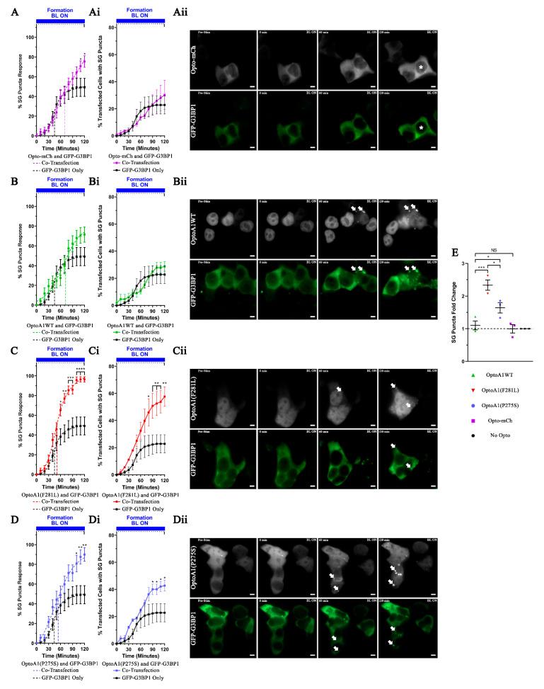 https://cdn.ncbi.nlm.nih.gov/pmc/blobs/7974/7998649/38a409abd405/ijms-22-02909-g005.jpg