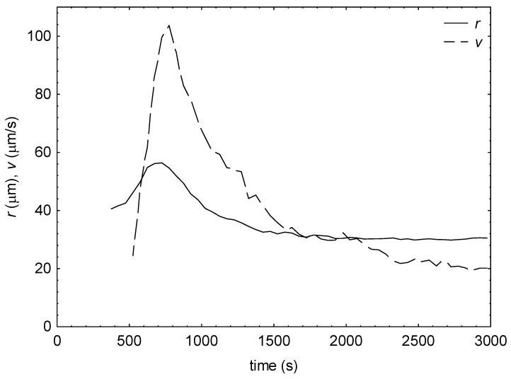 https://cdn.ncbi.nlm.nih.gov/pmc/blobs/7975/10573242/dcfaebefc76d/ijms-24-14952-g001.jpg