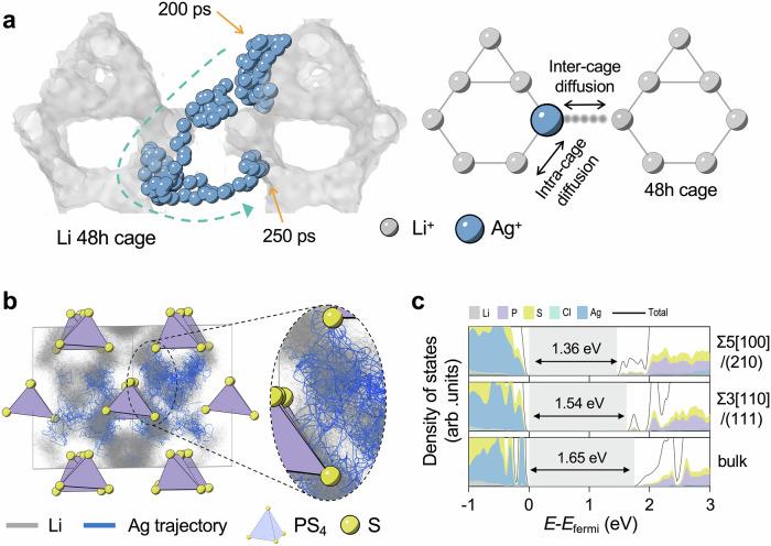https://cdn.ncbi.nlm.nih.gov/pmc/blobs/7975/12217028/a581895e0e16/41467_2025_61074_Fig4_HTML.jpg