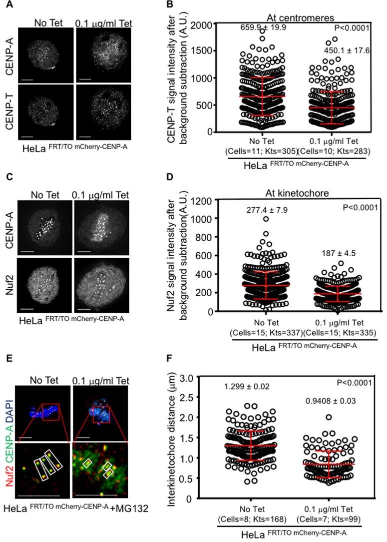 https://cdn.ncbi.nlm.nih.gov/pmc/blobs/7975/5564523/9bbf794916e0/oncotarget-08-46781-g006.jpg