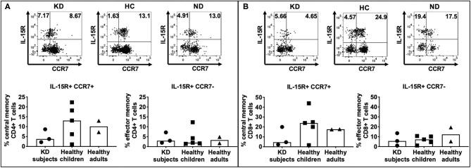 https://cdn.ncbi.nlm.nih.gov/pmc/blobs/7977/7933244/215bd4819dca/fped-09-633244-g0004.jpg