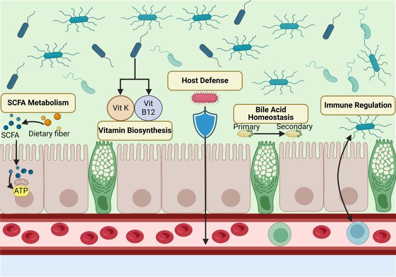 https://cdn.ncbi.nlm.nih.gov/pmc/blobs/7979/11770457/a86ada26cc89/egastro-2-3-g001.jpg