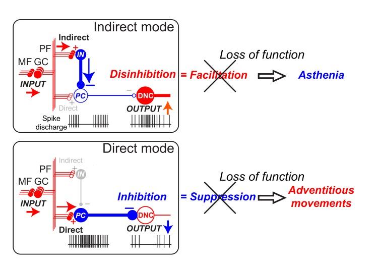 https://cdn.ncbi.nlm.nih.gov/pmc/blobs/7979/6142411/d0eb8b39a1fe/CNSNDDT-17-184_F3.jpg