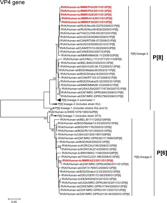 https://cdn.ncbi.nlm.nih.gov/pmc/blobs/797b/4418666/0428ce34edea/pone.0124965.g004.jpg