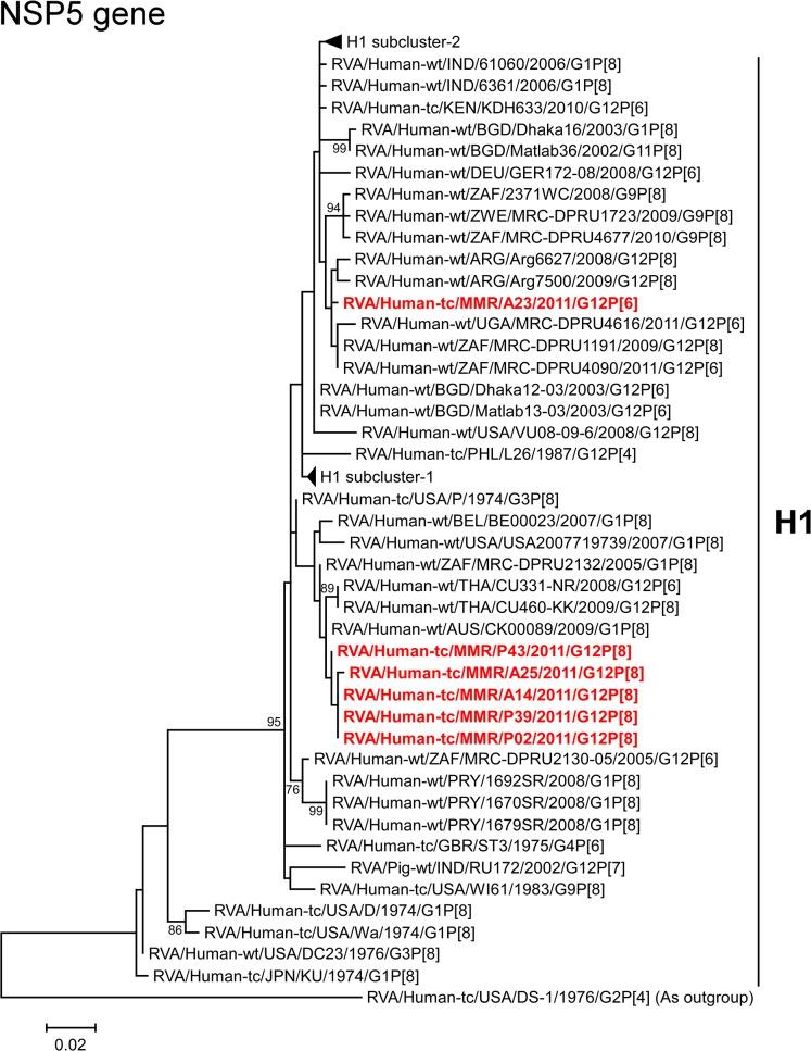 https://cdn.ncbi.nlm.nih.gov/pmc/blobs/797b/4418666/7fe5e36f5743/pone.0124965.g013.jpg