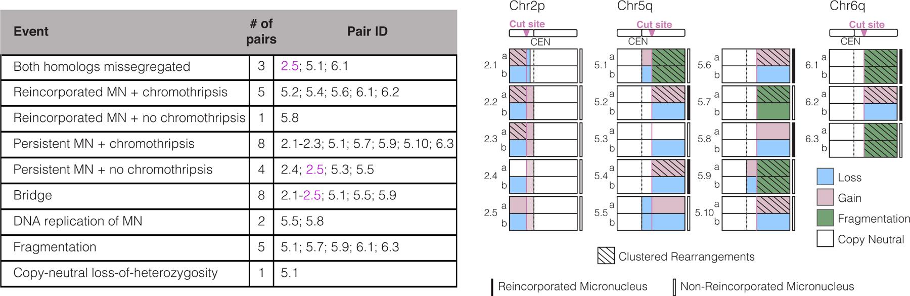 https://cdn.ncbi.nlm.nih.gov/pmc/blobs/797b/8192433/4bf437d75283/nihms-1681626-f0002.jpg