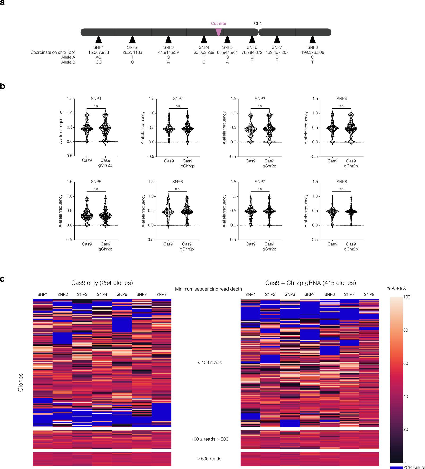 https://cdn.ncbi.nlm.nih.gov/pmc/blobs/797b/8192433/80067675f541/nihms-1681626-f0012.jpg