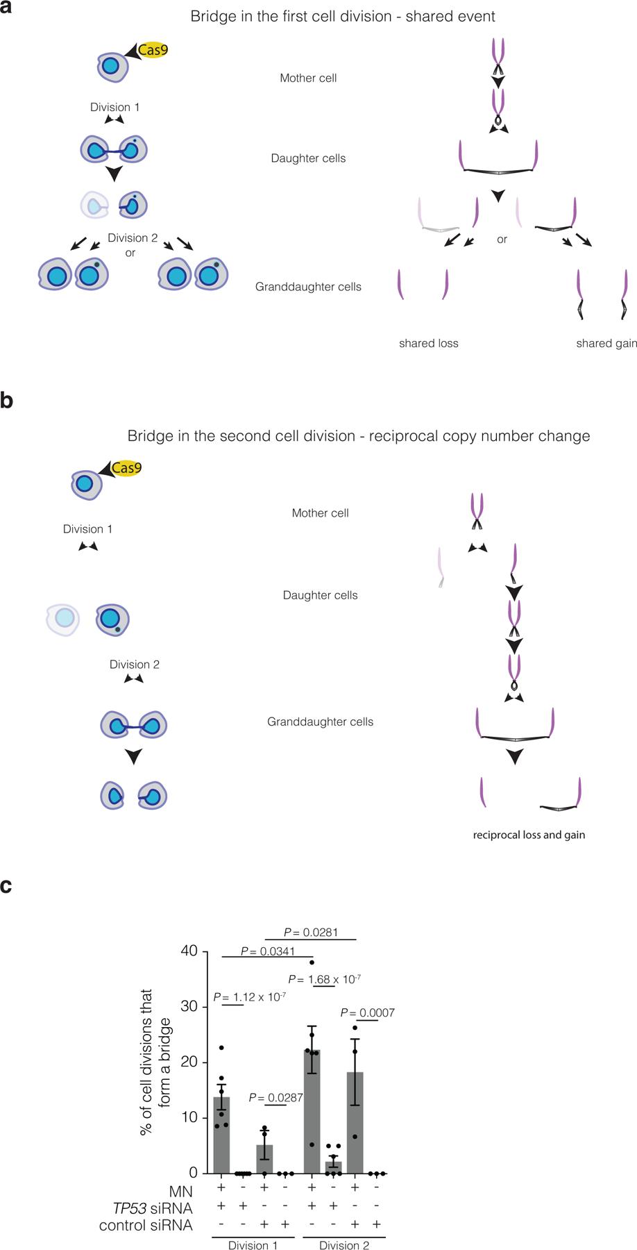 https://cdn.ncbi.nlm.nih.gov/pmc/blobs/797b/8192433/85886f270062/nihms-1681626-f0011.jpg