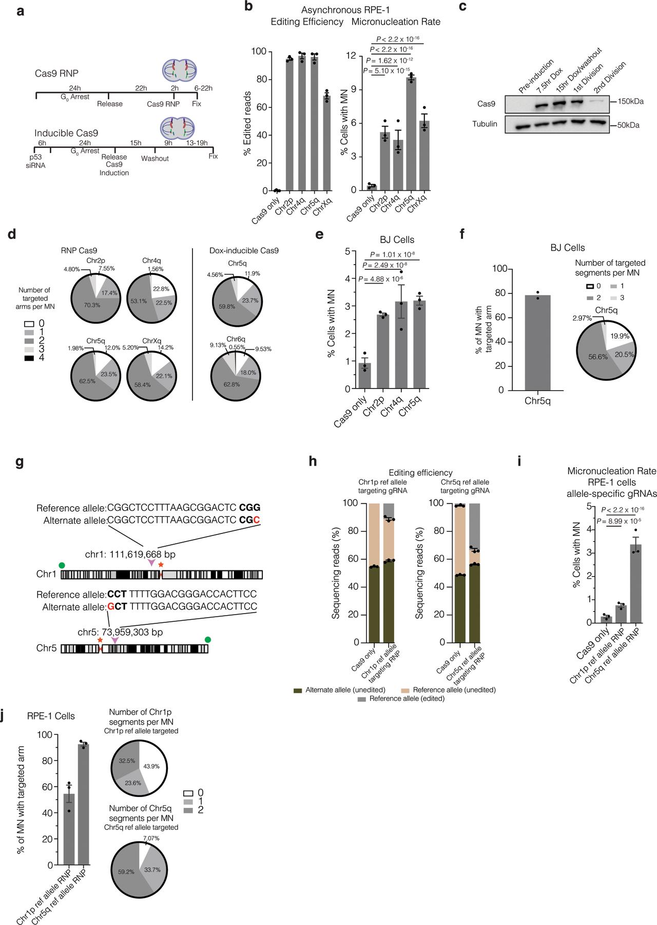 https://cdn.ncbi.nlm.nih.gov/pmc/blobs/797b/8192433/d986dd3bb9c4/nihms-1681626-f0007.jpg