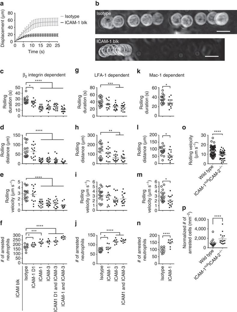 https://cdn.ncbi.nlm.nih.gov/pmc/blobs/797d/5013657/5f7e751fd6a8/ncomms12658-f7.jpg