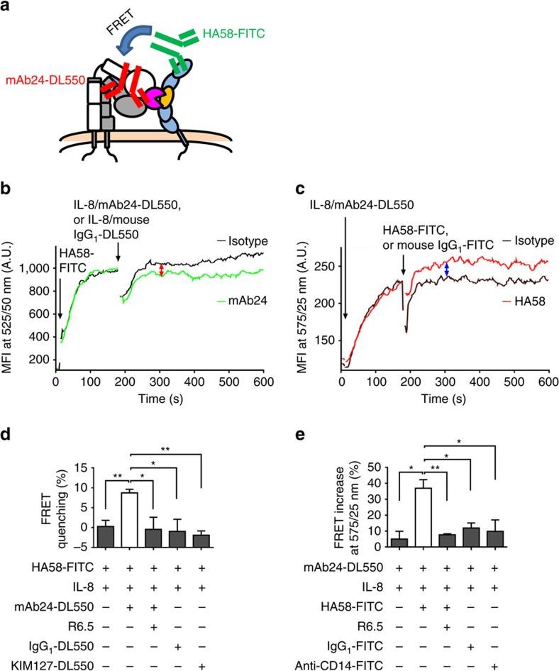 https://cdn.ncbi.nlm.nih.gov/pmc/blobs/797d/5013657/873417d89df0/ncomms12658-f5.jpg
