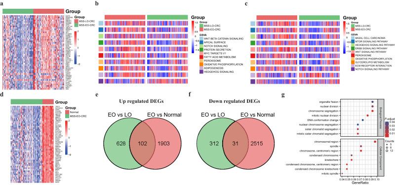https://cdn.ncbi.nlm.nih.gov/pmc/blobs/7980/10314951/416730e9be66/41698_2023_414_Fig3_HTML.jpg