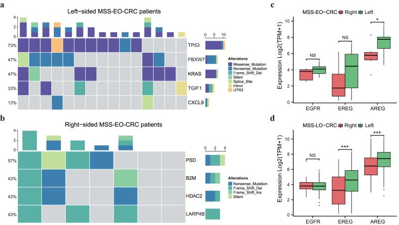 https://cdn.ncbi.nlm.nih.gov/pmc/blobs/7980/10314951/89ba768926d0/41698_2023_414_Fig7_HTML.jpg