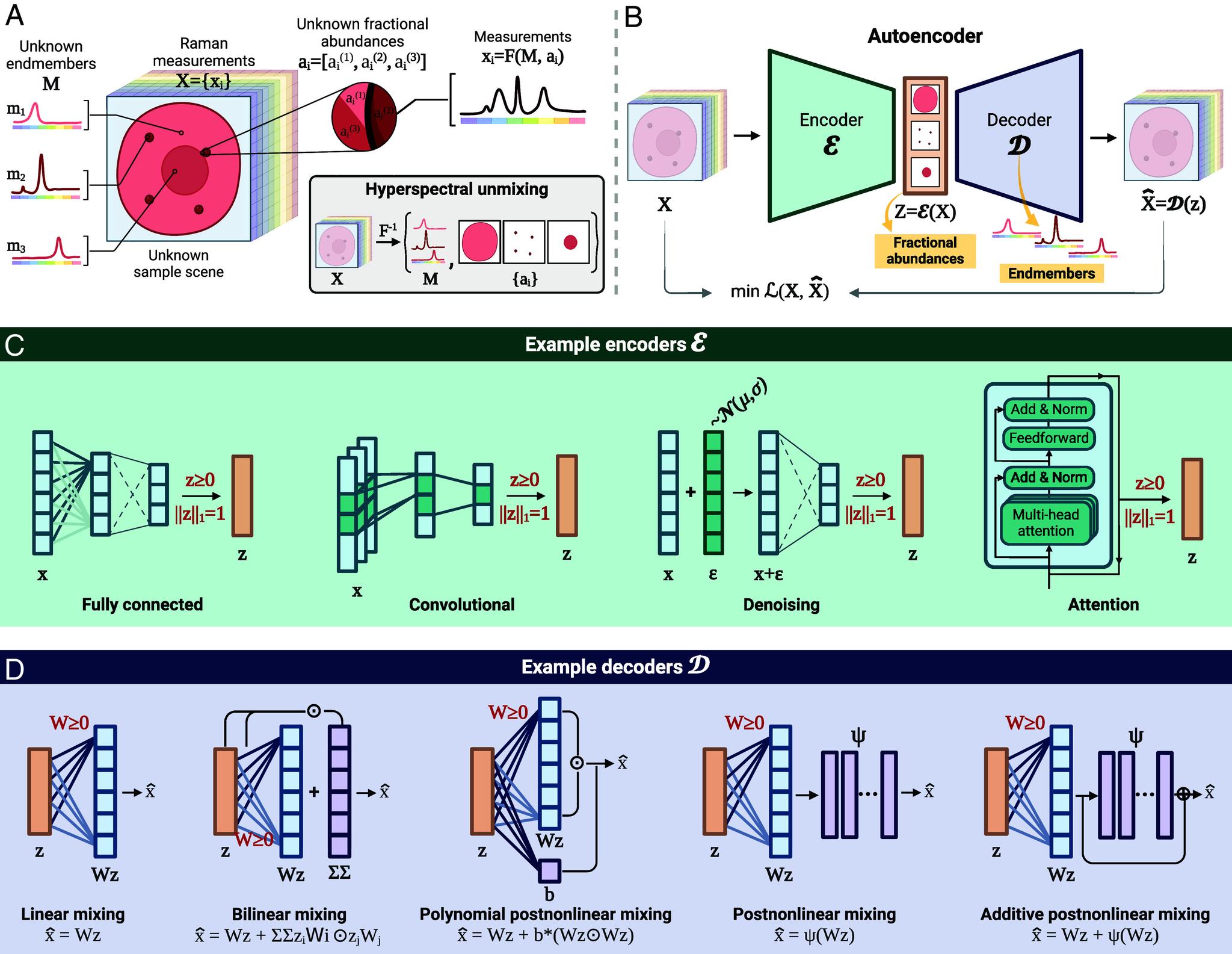 https://cdn.ncbi.nlm.nih.gov/pmc/blobs/7980/11551349/1aaa6fac88f3/pnas.2407439121fig01.jpg