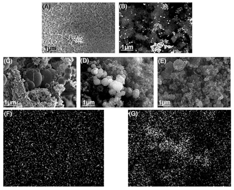 https://cdn.ncbi.nlm.nih.gov/pmc/blobs/7987/11643432/c390460ad761/nanomaterials-14-01924-g004.jpg