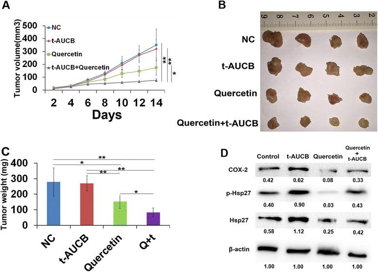 https://cdn.ncbi.nlm.nih.gov/pmc/blobs/7987/4818891/6b7202455796/13046_2016_331_Fig6_HTML.jpg