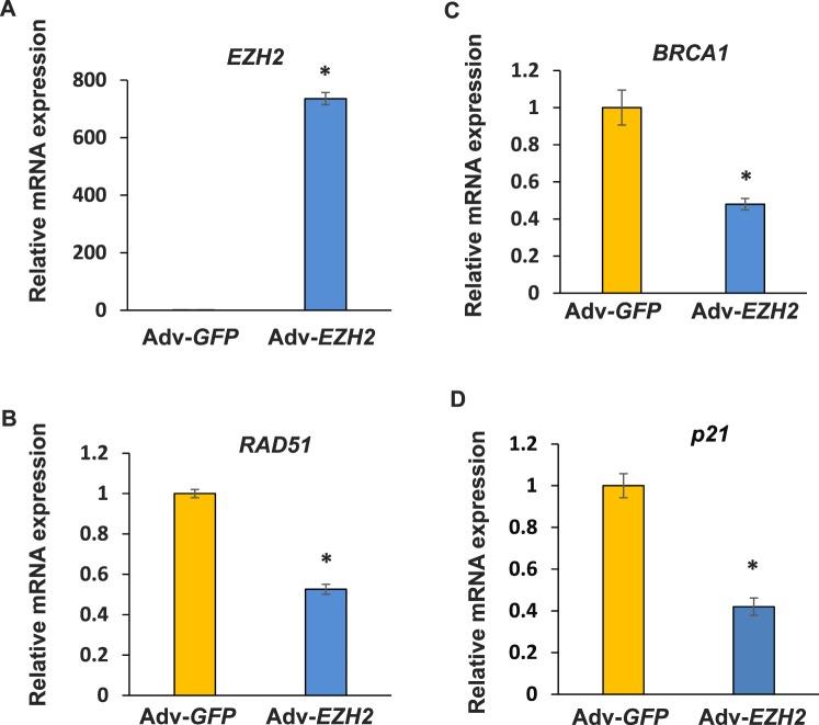 https://cdn.ncbi.nlm.nih.gov/pmc/blobs/7987/4829092/62a2bcfaa1e5/i0006-3363-94-3-69-f05.jpg
