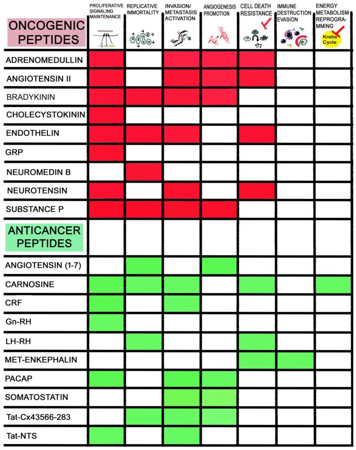 https://cdn.ncbi.nlm.nih.gov/pmc/blobs/7989/11277022/d920c1b6cda9/ijms-25-07990-g002.jpg