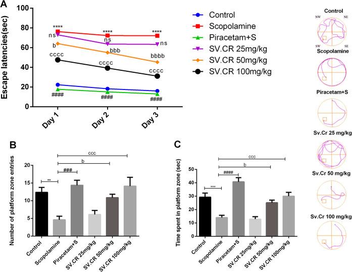 https://cdn.ncbi.nlm.nih.gov/pmc/blobs/7989/7940748/c8af4e7a3d38/10.1177_1559325821998486-fig11.jpg