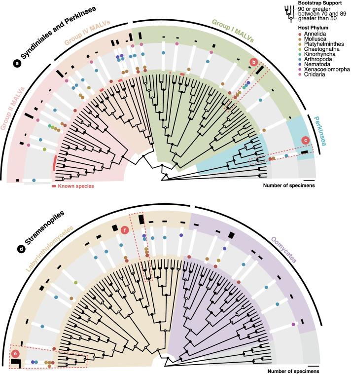 https://cdn.ncbi.nlm.nih.gov/pmc/blobs/798a/9523941/2c36a683942c/40168_2022_1363_Fig5_HTML.jpg