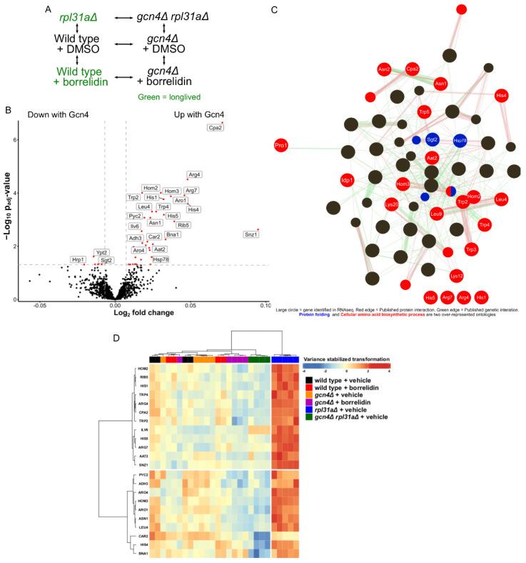 https://cdn.ncbi.nlm.nih.gov/pmc/blobs/798b/10671045/41936d15a77c/ijms-24-16163-g002.jpg