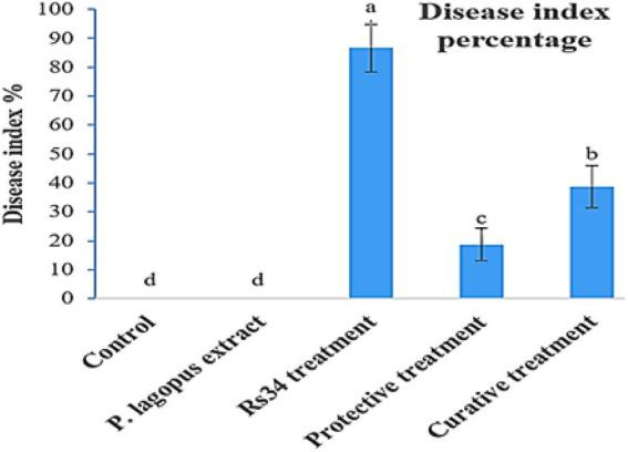 https://cdn.ncbi.nlm.nih.gov/pmc/blobs/798b/9393307/afa70af59574/fpls-13-966929-g002.jpg
