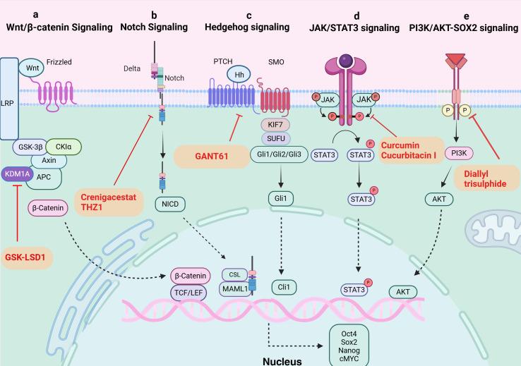 https://cdn.ncbi.nlm.nih.gov/pmc/blobs/798e/11703838/196302712e84/fimmu-15-1476427-g002.jpg