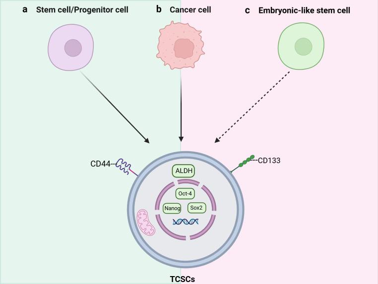 https://cdn.ncbi.nlm.nih.gov/pmc/blobs/798e/11703838/2dee057eb53c/fimmu-15-1476427-g001.jpg