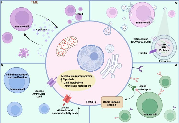 https://cdn.ncbi.nlm.nih.gov/pmc/blobs/798e/11703838/8bd8751ea965/fimmu-15-1476427-g004.jpg