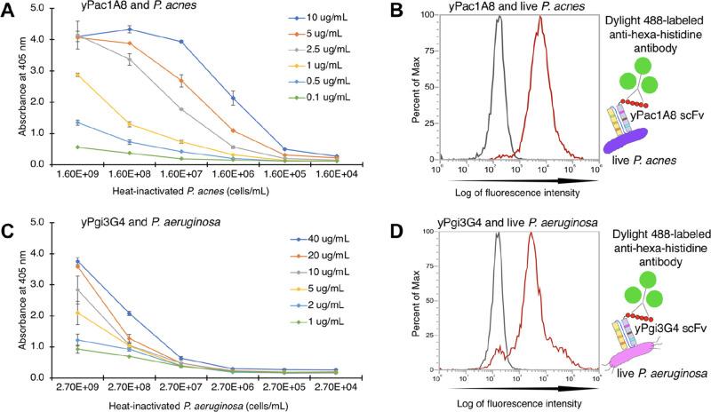 https://cdn.ncbi.nlm.nih.gov/pmc/blobs/798e/7808144/112fb2c651d4/ao0c05340_0005.jpg
