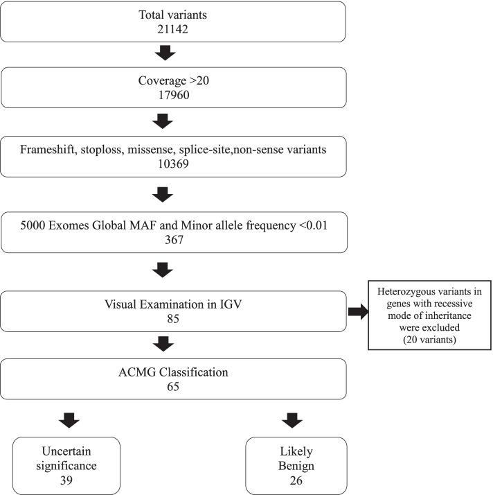 https://cdn.ncbi.nlm.nih.gov/pmc/blobs/7992/8722277/f366a340a11b/12882_2021_2628_Fig2_HTML.jpg