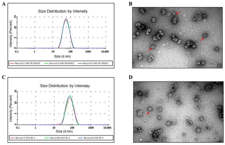 https://cdn.ncbi.nlm.nih.gov/pmc/blobs/7993/10974900/2d4ead1ca26c/vaccines-12-00267-g005.jpg