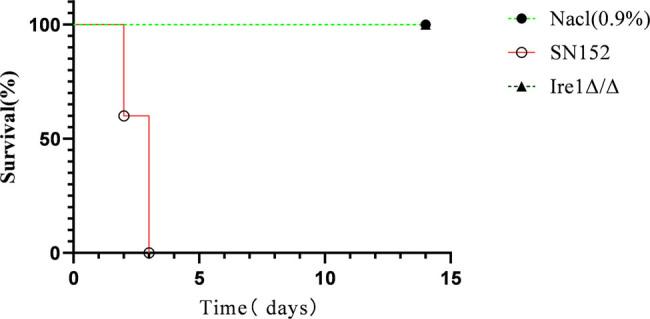https://cdn.ncbi.nlm.nih.gov/pmc/blobs/7993/12048900/793f492d28bd/j_biol-2022-1062-fig007.jpg