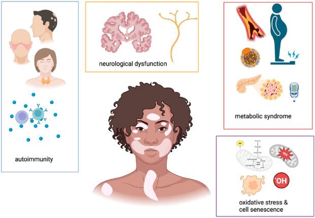 https://cdn.ncbi.nlm.nih.gov/pmc/blobs/7994/12037623/24d83c3f24b6/fphar-16-1546836-g001.jpg