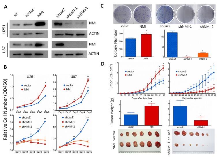 https://cdn.ncbi.nlm.nih.gov/pmc/blobs/7995/4467123/0535ed44ffca/oncotarget-06-4901-g004.jpg