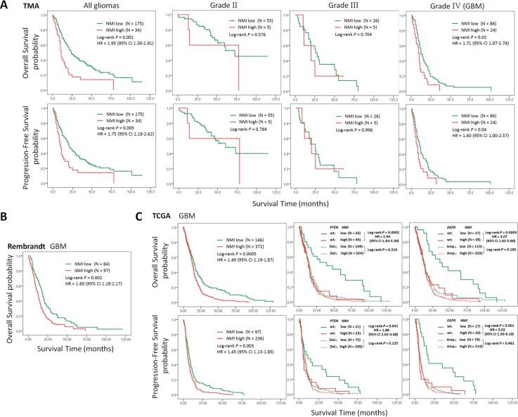 https://cdn.ncbi.nlm.nih.gov/pmc/blobs/7995/4467123/74af74f7e4cc/oncotarget-06-4901-g003.jpg