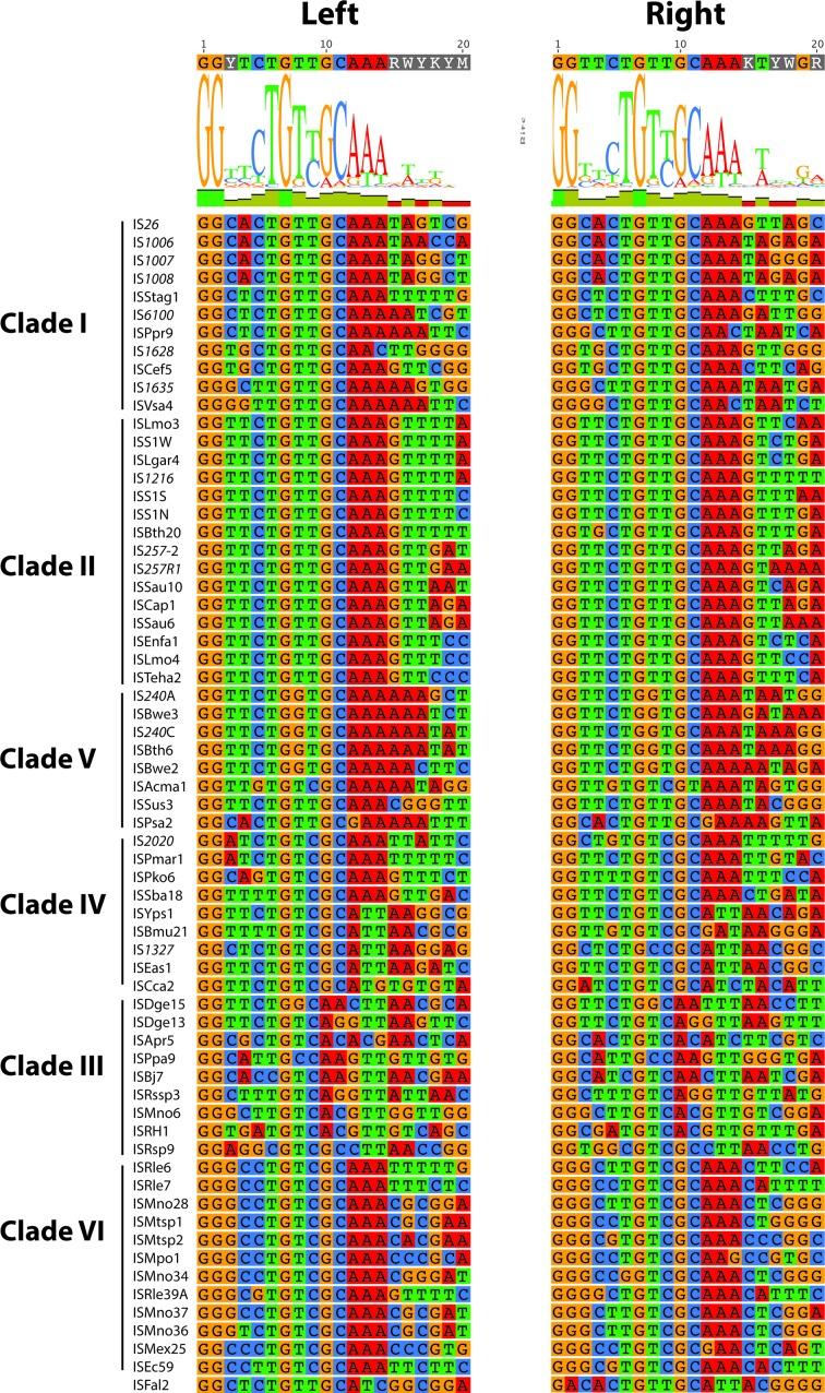 https://cdn.ncbi.nlm.nih.gov/pmc/blobs/7995/6807381/ebbdc6d45e2a/mgen-5-291-g004.jpg
