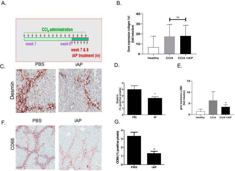 https://cdn.ncbi.nlm.nih.gov/pmc/blobs/7996/7766276/ec1df025f754/cells-09-02708-g004.jpg