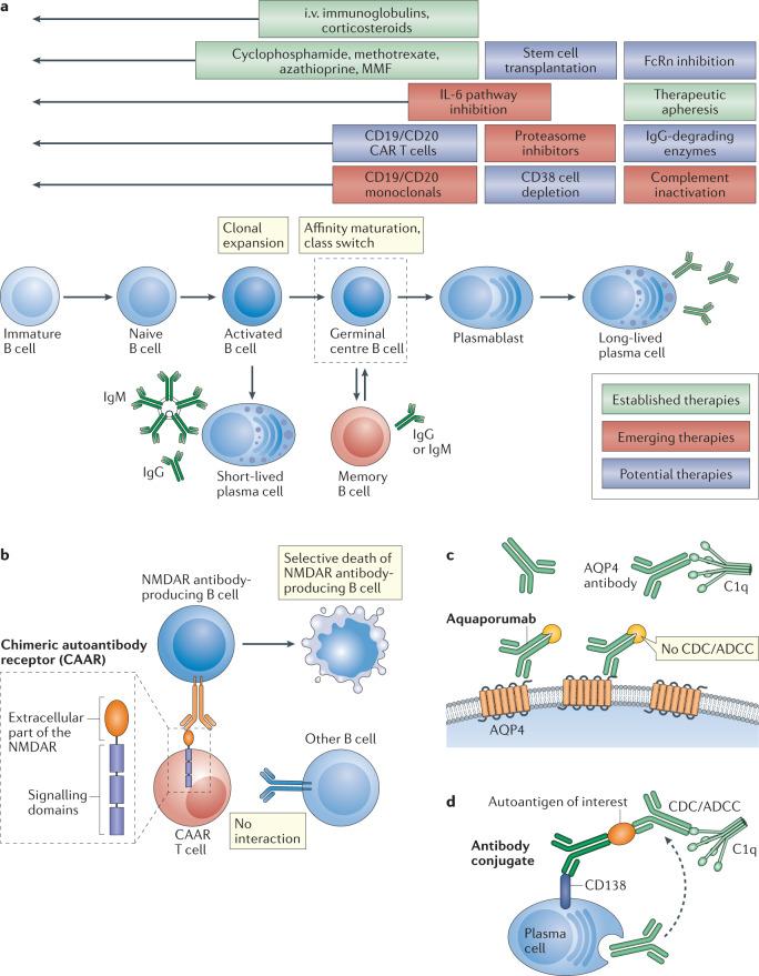 https://cdn.ncbi.nlm.nih.gov/pmc/blobs/7998/8111372/07f7b80c1fa8/41577_2021_543_Fig4_HTML.jpg