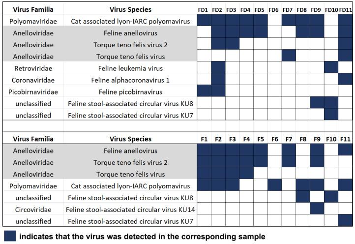 https://cdn.ncbi.nlm.nih.gov/pmc/blobs/799a/10385657/43fed26b6f6e/vetsci-10-00444-g001.jpg