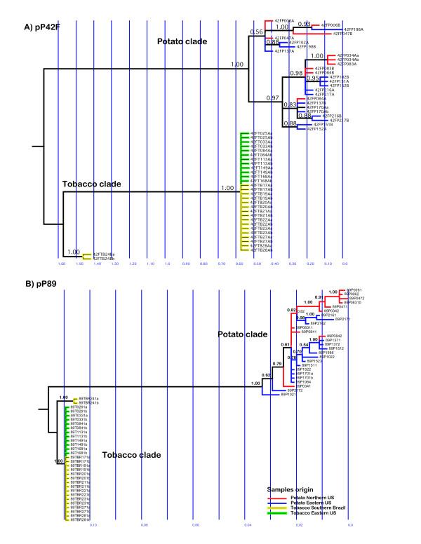 https://cdn.ncbi.nlm.nih.gov/pmc/blobs/799a/2048936/31c617db6624/1471-2148-7-163-2.jpg