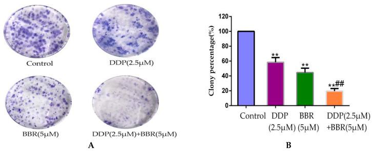 https://cdn.ncbi.nlm.nih.gov/pmc/blobs/799a/8002572/3799c0c6540e/molecules-26-01666-g003.jpg