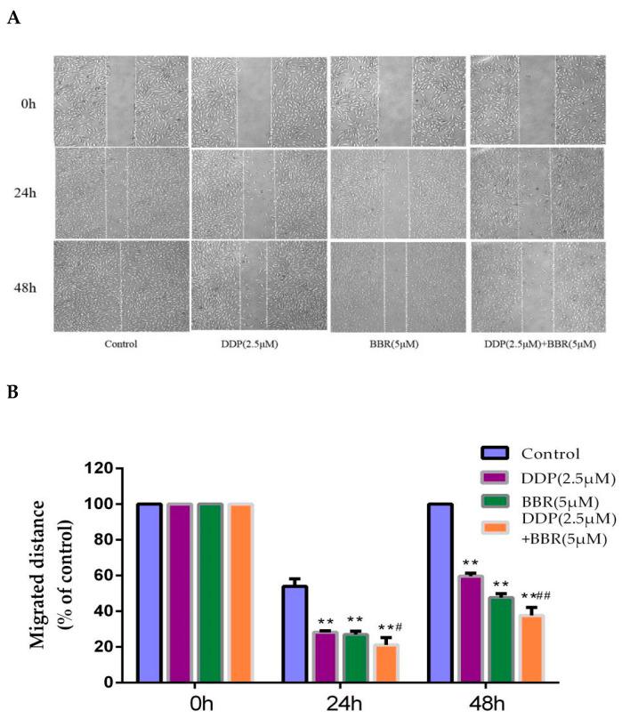 https://cdn.ncbi.nlm.nih.gov/pmc/blobs/799a/8002572/b8498565f172/molecules-26-01666-g002a.jpg