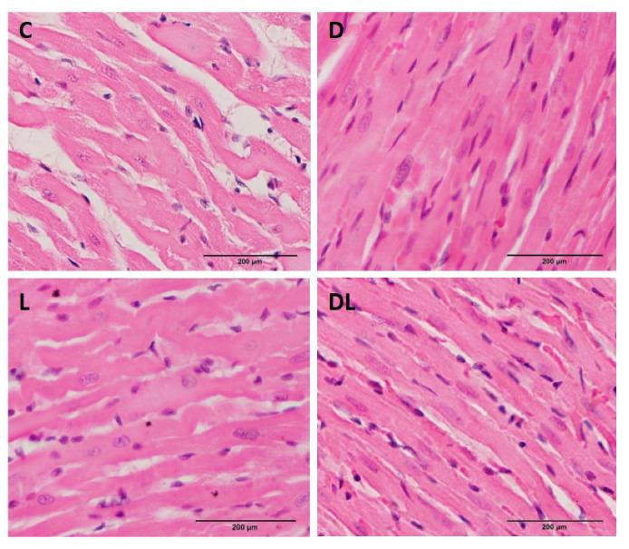 https://cdn.ncbi.nlm.nih.gov/pmc/blobs/799b/11172760/266672da5c9a/ijms-25-05833-g005.jpg