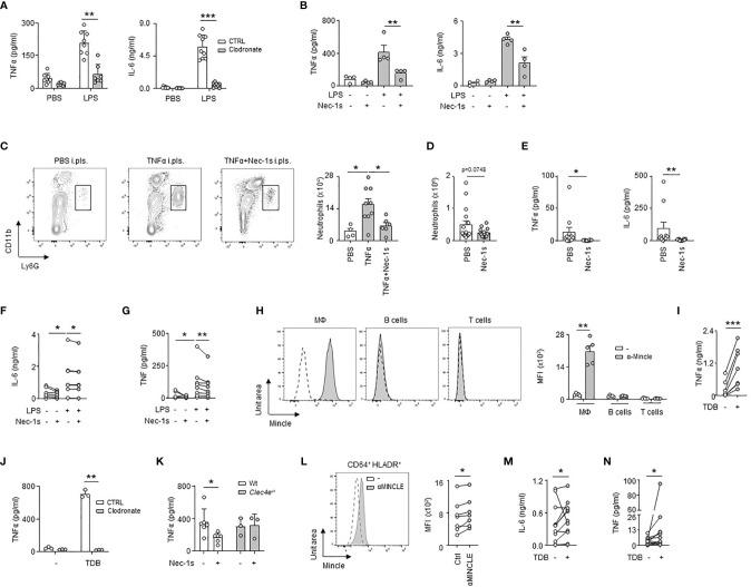 https://cdn.ncbi.nlm.nih.gov/pmc/blobs/799b/9047739/5633da627cba/fimmu-13-821480-g005.jpg