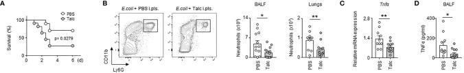 https://cdn.ncbi.nlm.nih.gov/pmc/blobs/799b/9047739/c62061a2dad8/fimmu-13-821480-g001.jpg