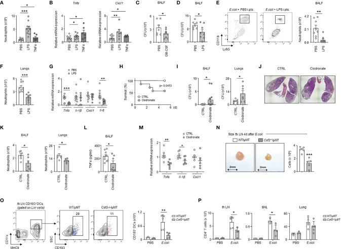https://cdn.ncbi.nlm.nih.gov/pmc/blobs/799b/9047739/e268a856c7aa/fimmu-13-821480-g006.jpg
